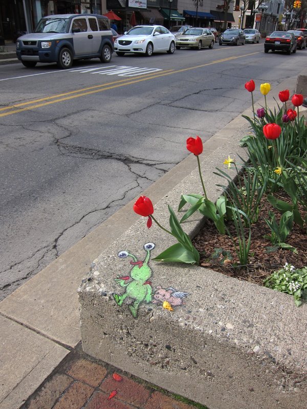 davidzinn7