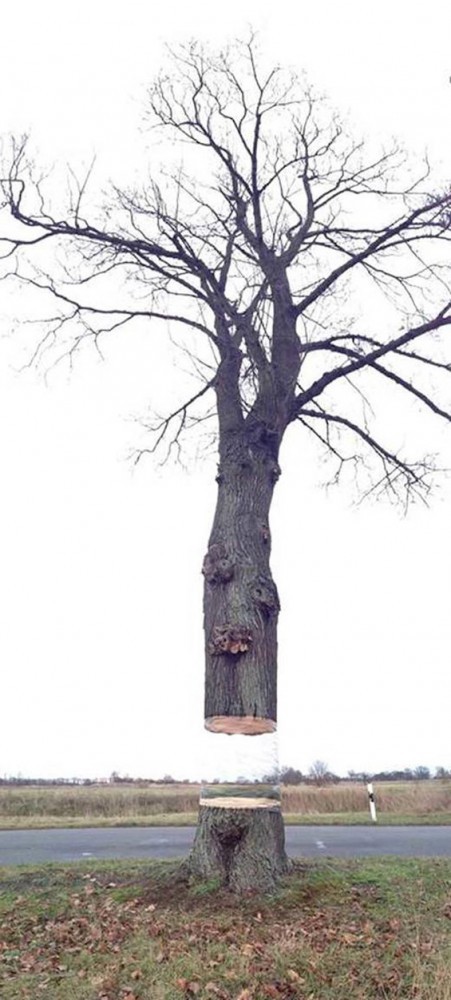 tumblr myl74citkp1rdvxiao1 1280
