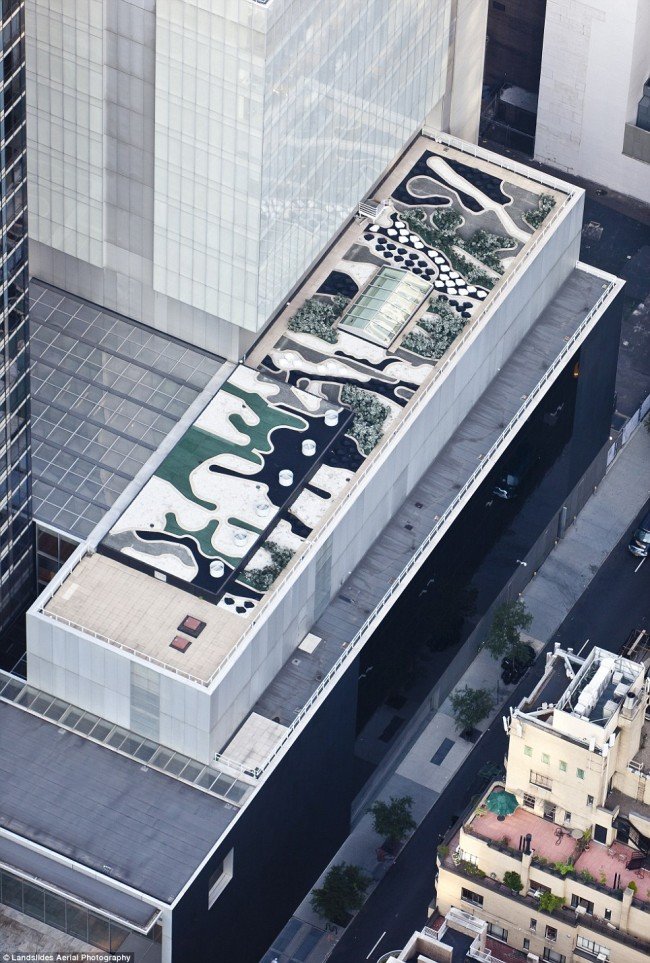 maclean NYC 2 650x963