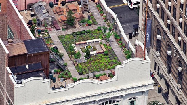 maclean NYC 650x365