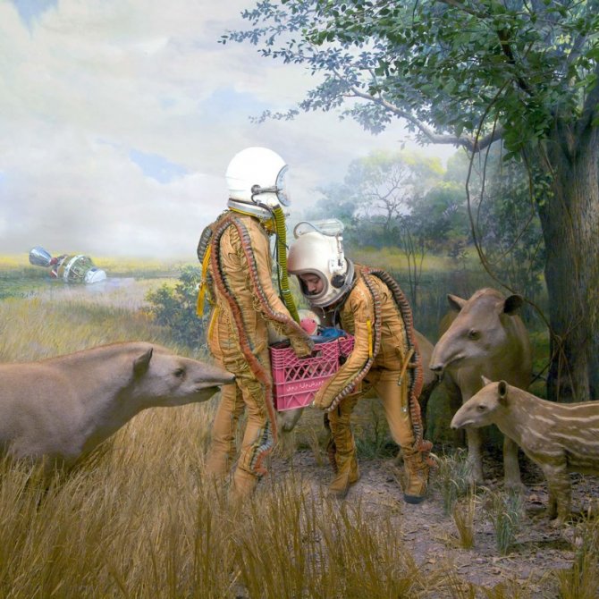 todd baxter immagini wes anderson 4