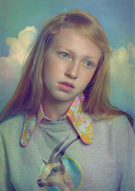 todd baxter immagini wes anderson 5