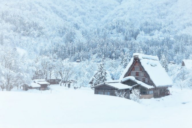 winter snow nature 1640481 1600x1067 880