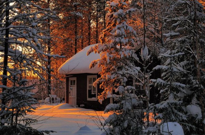 winter sunset trees 842837 1280x849 880