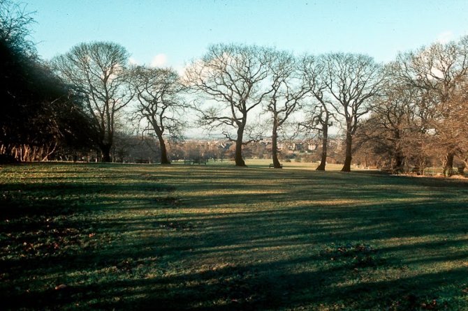 lond 7
