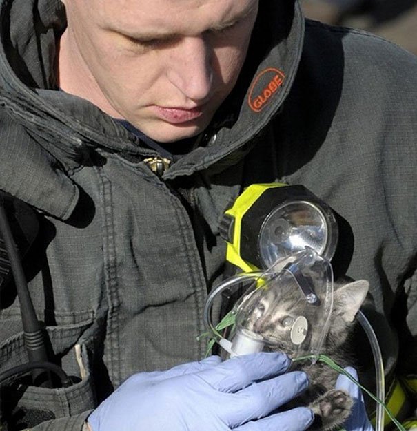 faith humanity restored kind people 23 605