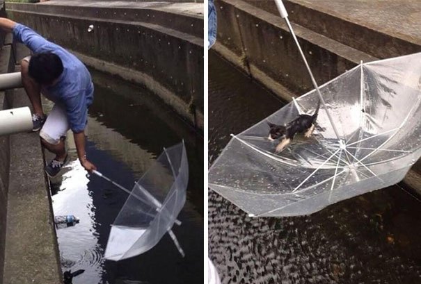 faith humanity restored kind people 56 605