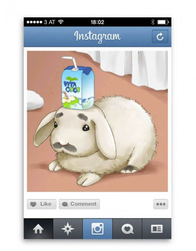 Types-of-Instagram-Photos11