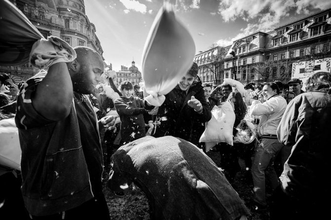 pillow fight documentary photography 011 880