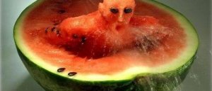 Saxton freymann watermelon sculpture
