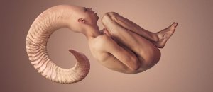 Testa lunga