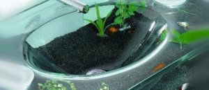 20120107 174944.jpg