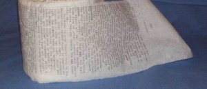 Moby dick carta igienica
