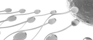 Sperm
