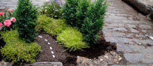 The miniature pothole gardener