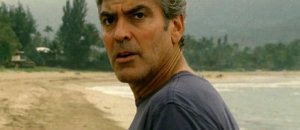 37712 paradiso amaro