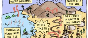 Coffeecycle blog