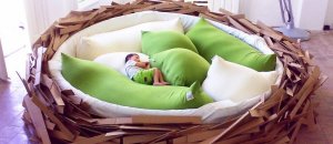 OGE Birdsnest