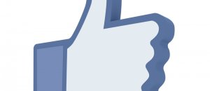 Facebook fan