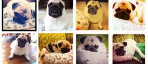 12 instagram for android 1059309 flash
