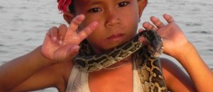 Cambodia Snake