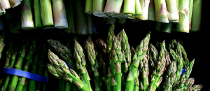 Asparagi pipì