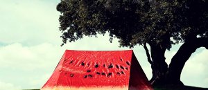 Tenda anguria