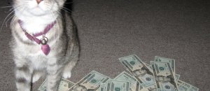 Tumblr lp0ydoztYN1qgn992o1