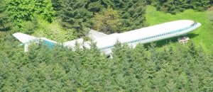 Bruce Campbell vivere boing 727 foresta