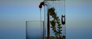 Acquario autopulente