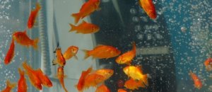 20120913 212735.jpg