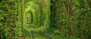 20120927 003623.jpg