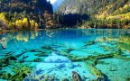 Crystalline Turquoise Lake, Jiuzhaigou National Park, China (1)