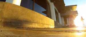 Gopro gabbiano rubata