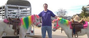 Ponyparty04
