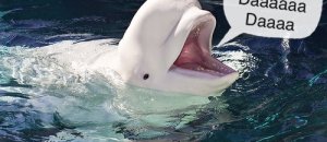 20121023 081315.jpg