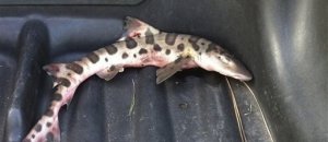 20121026 231216.jpg
