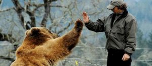Brutus grizzly pet casey anderson