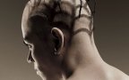 Capelli ragno