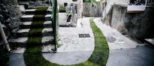 Green carpet6