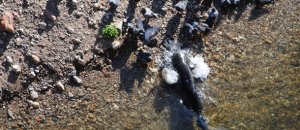20121210 232339.jpg