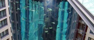 Aquadom 15 600x749