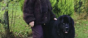 Dog wool erwan fichou