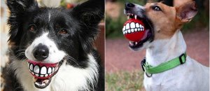 Rogz grinz ball dog toy