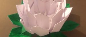 20130206 234018.jpg