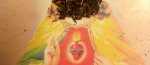 Jesus marijuana grigiliate pasquali