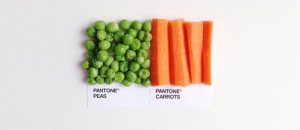 Pantone food5