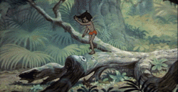 Winnie pooh mowgli libro della giungla disney