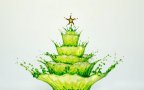 Albero