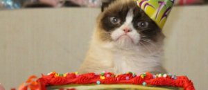 Grumpy1